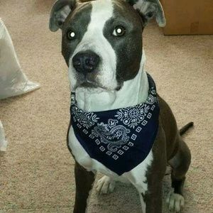 Meet your Posher, Lucio